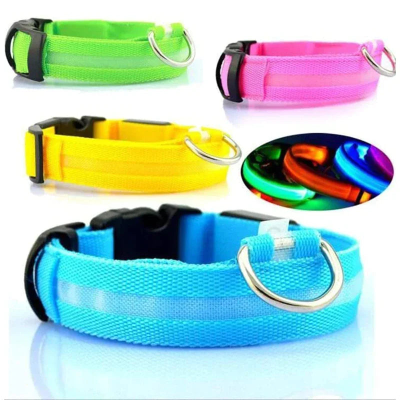 LED Dog Collar – Adjustable, Waterproof, Light-Up Pet Collar with Flashing Modes for Night Safety & Visibility
