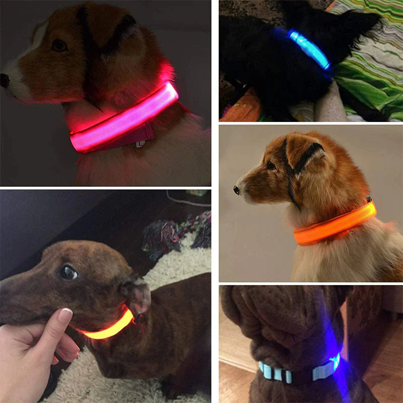 LED Dog Collar – Adjustable, Waterproof, Light-Up Pet Collar with Flashing Modes for Night Safety & Visibility