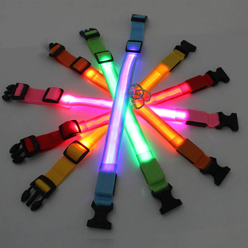 LED Dog Collar – Adjustable, Waterproof, Light-Up Pet Collar with Flashing Modes for Night Safety & Visibility