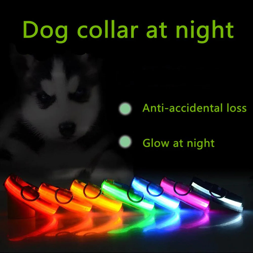 LED Dog Collar – Adjustable, Waterproof, Light-Up Pet Collar with Flashing Modes for Night Safety & Visibility