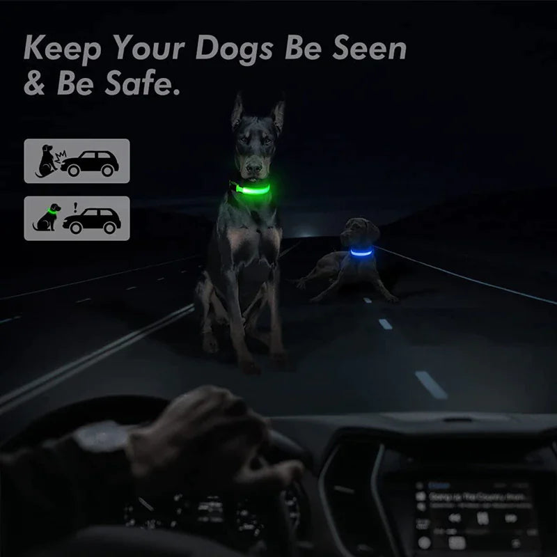 LED Dog Collar – Adjustable, Waterproof, Light-Up Pet Collar with Flashing Modes for Night Safety & Visibility