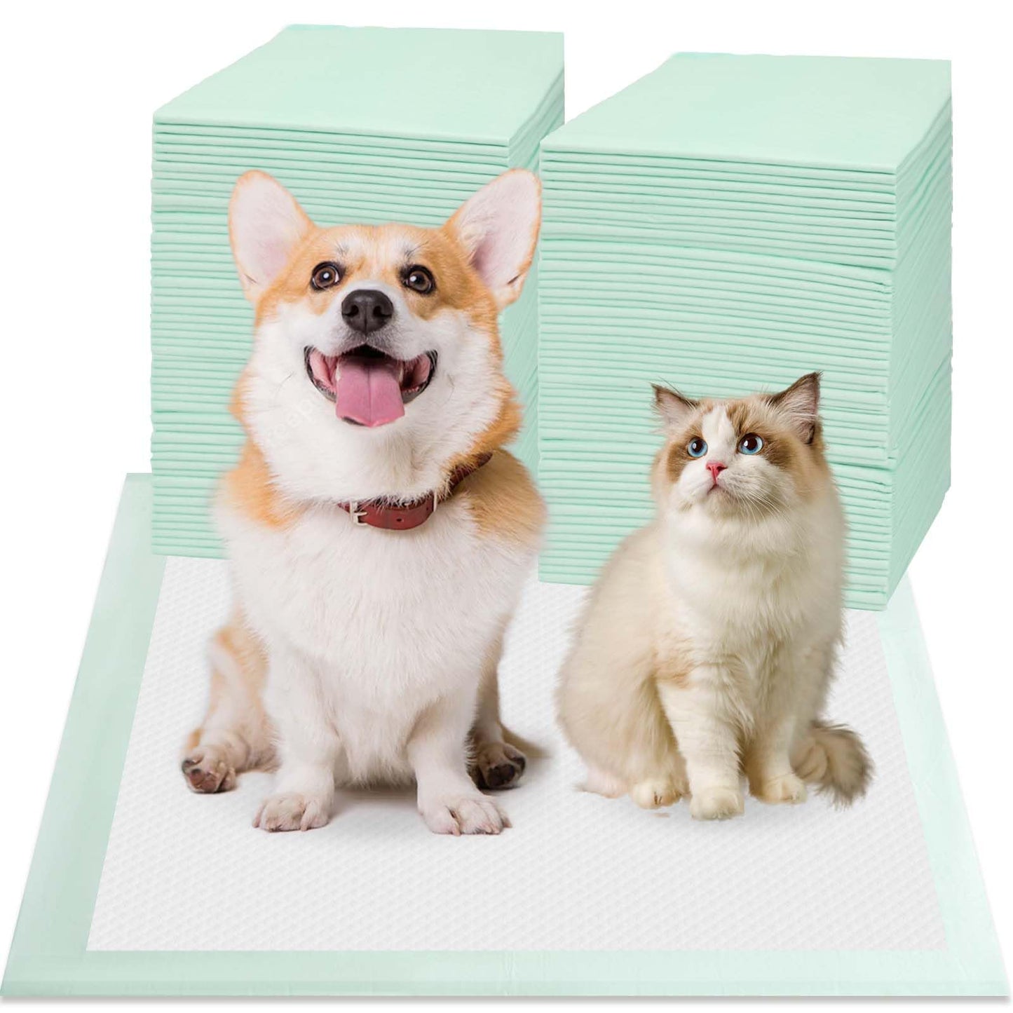 Puppy Training Pads 24x24 Inch - 80 Count 6-Layer Leak-Proof Ultra Absorbent