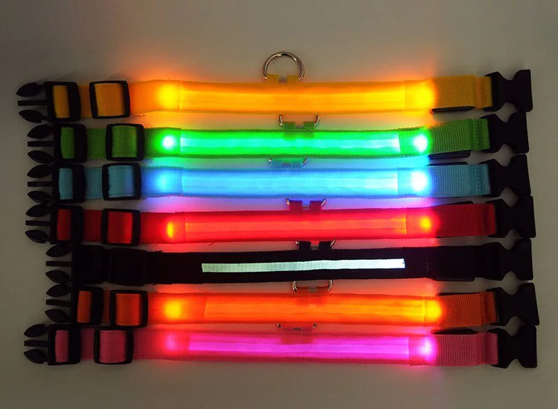 LED Dog Collar – Adjustable, Waterproof, Light-Up Pet Collar with Flashing Modes for Night Safety & Visibility