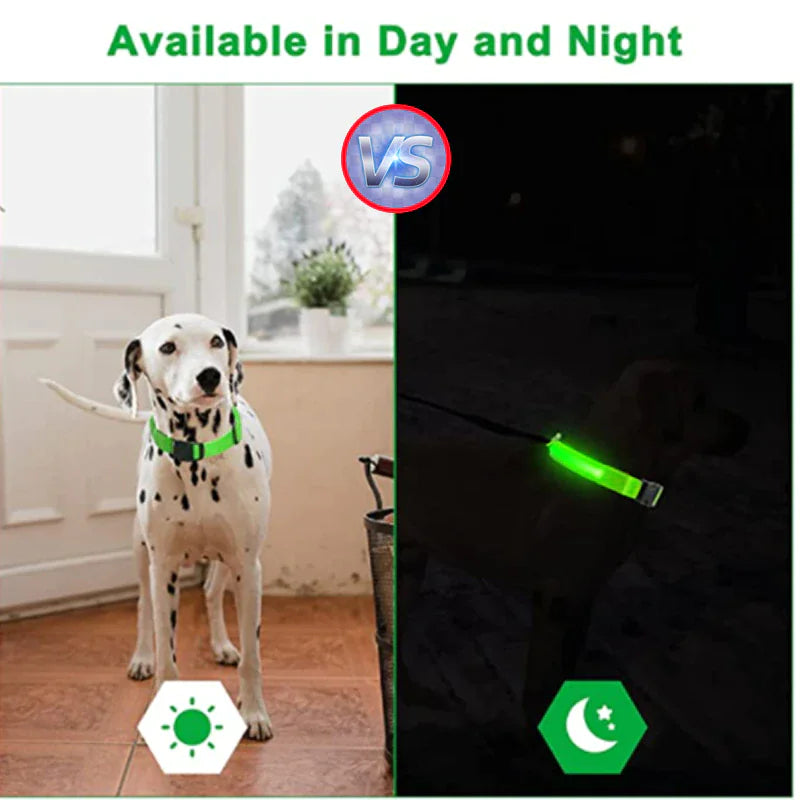 LED Dog Collar – Adjustable, Waterproof, Light-Up Pet Collar with Flashing Modes for Night Safety & Visibility