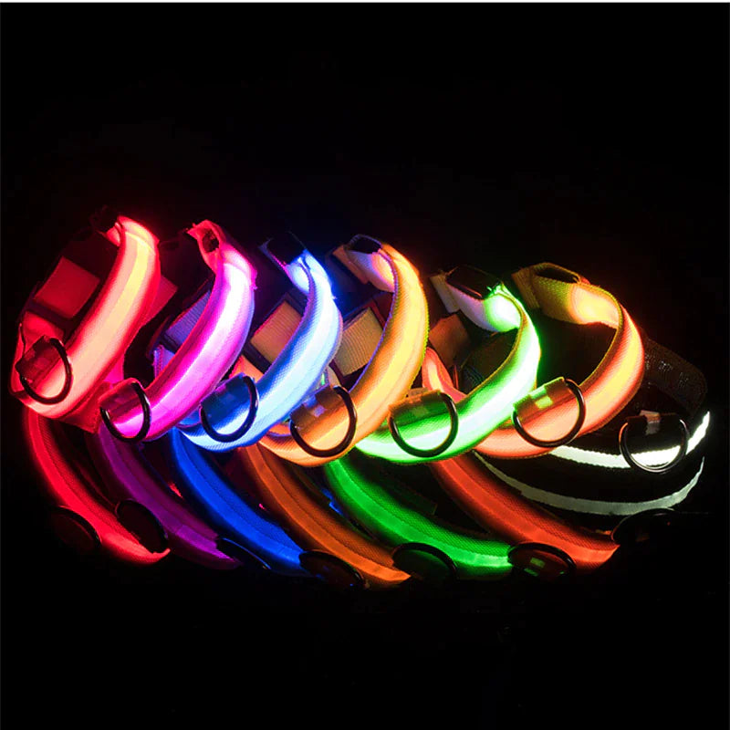 LED Dog Collar – Adjustable, Waterproof, Light-Up Pet Collar with Flashing Modes for Night Safety & Visibility