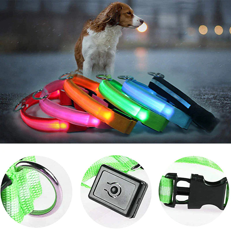 LED Dog Collar – Adjustable, Waterproof, Light-Up Pet Collar with Flashing Modes for Night Safety & Visibility