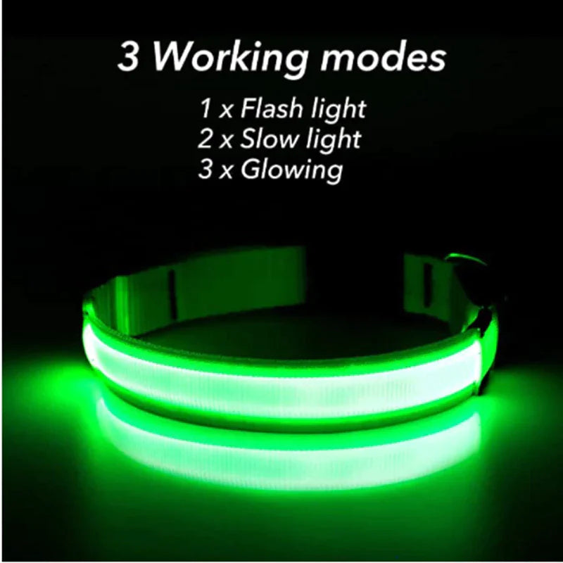 LED Dog Collar – Adjustable, Waterproof, Light-Up Pet Collar with Flashing Modes for Night Safety & Visibility