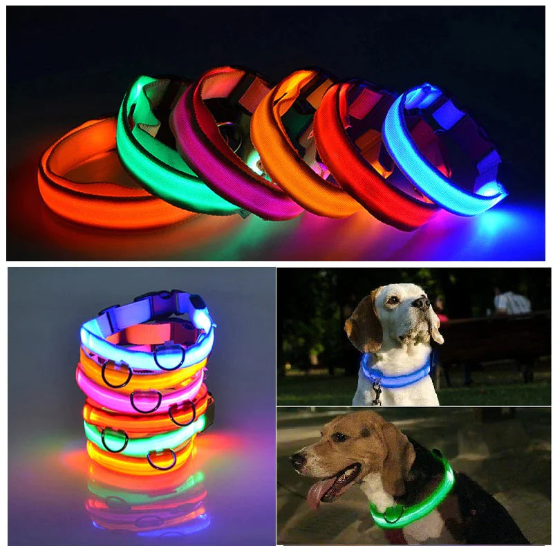 LED Dog Collar – Adjustable, Waterproof, Light-Up Pet Collar with Flashing Modes for Night Safety & Visibility