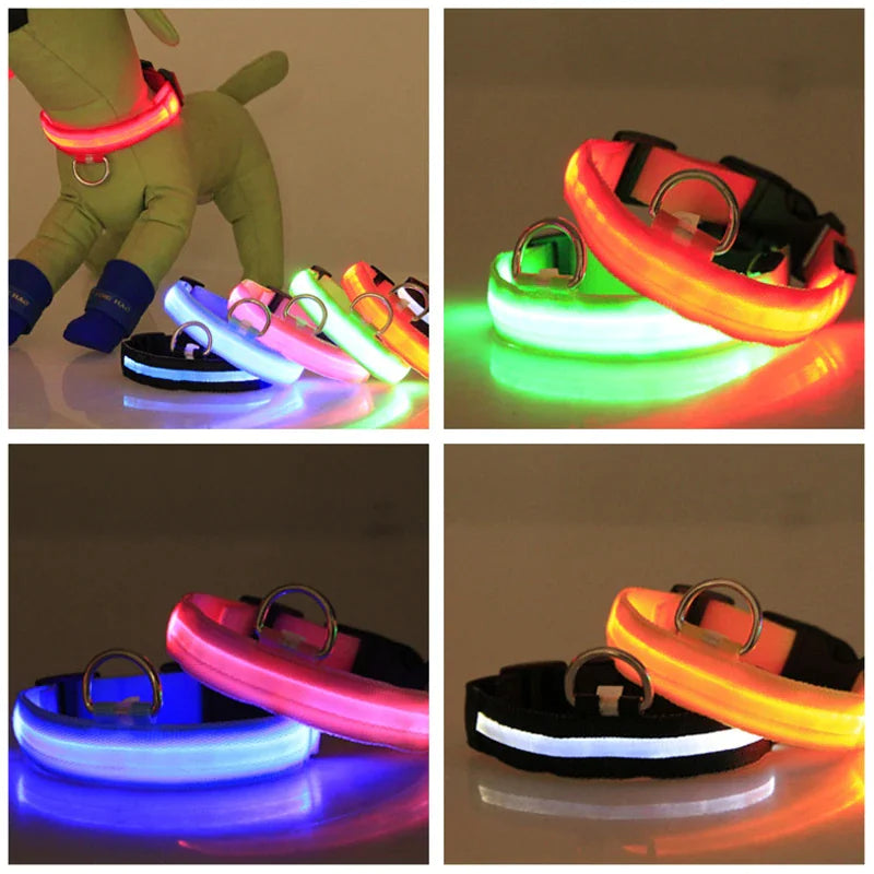 LED Dog Collar – Adjustable, Waterproof, Light-Up Pet Collar with Flashing Modes for Night Safety & Visibility