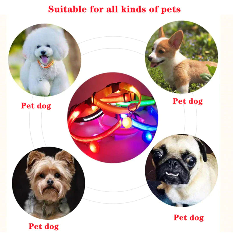 LED Dog Collar – Adjustable, Waterproof, Light-Up Pet Collar with Flashing Modes for Night Safety & Visibility