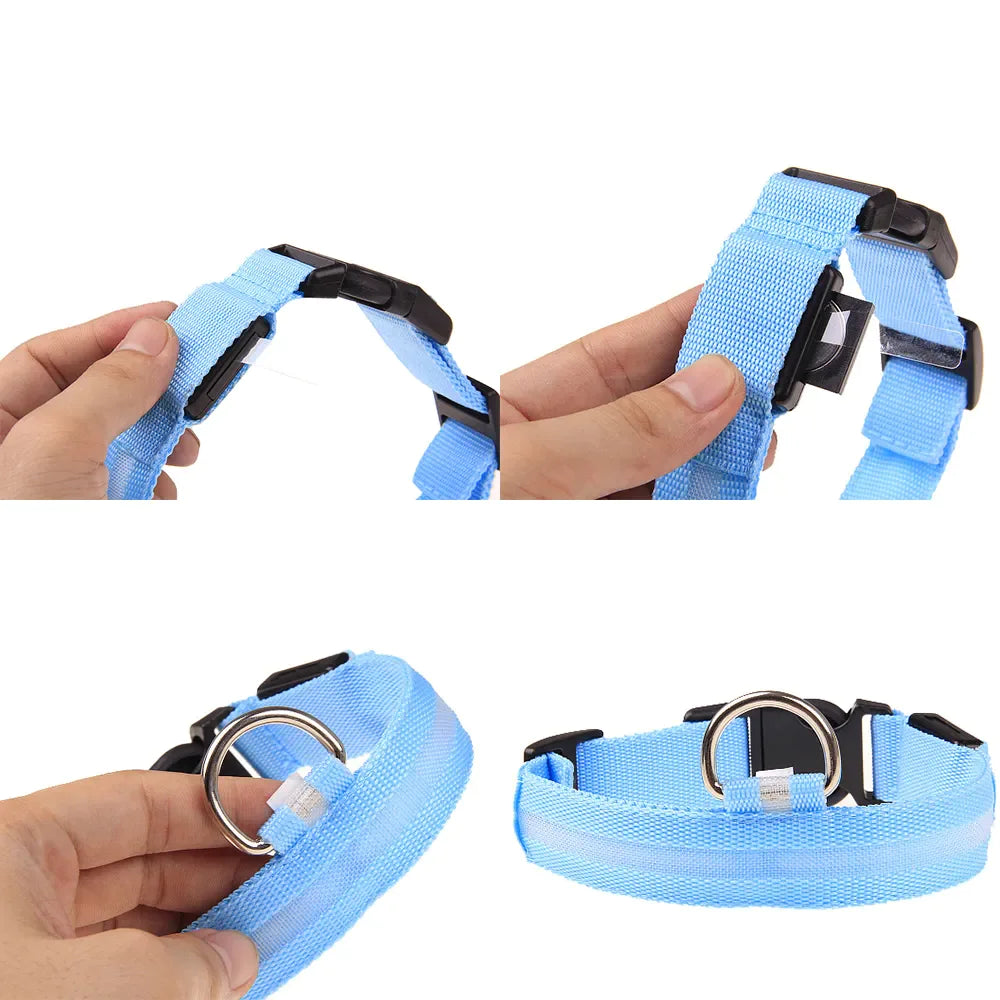 LED Dog Collar – Adjustable, Waterproof, Light-Up Pet Collar with Flashing Modes for Night Safety & Visibility