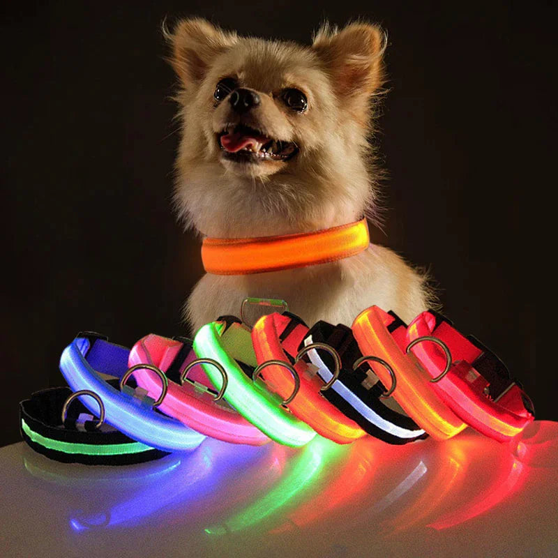 LED Dog Collar – Adjustable, Waterproof, Light-Up Pet Collar with Flashing Modes for Night Safety & Visibility
