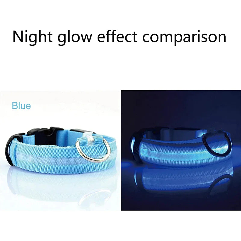 LED Dog Collar – Adjustable, Waterproof, Light-Up Pet Collar with Flashing Modes for Night Safety & Visibility