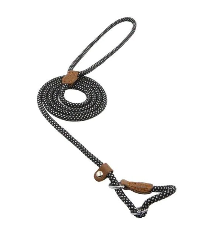 How to Choose a Dog Leash: Complete Buying Guide for Pet Parents