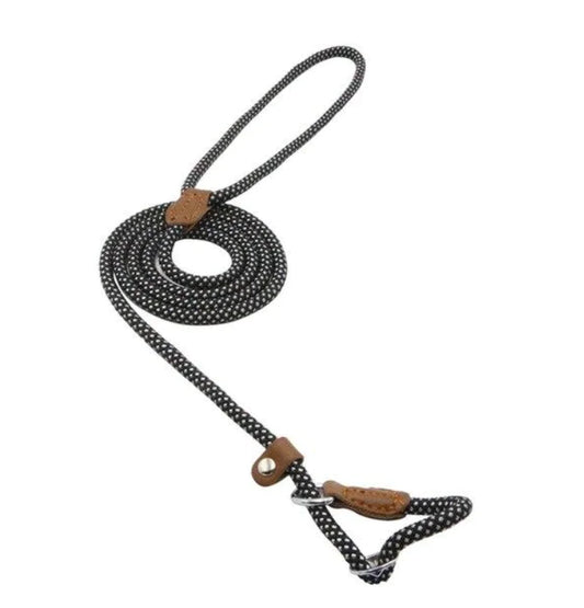 How to Choose a Dog Leash: Complete Buying Guide for Pet Parents