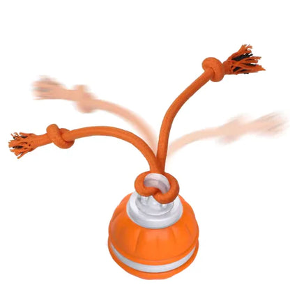 Rolling Dog Fetch Ball
