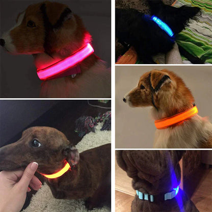 LED Dog Collar – Adjustable, Waterproof, Light-Up Pet Collar with Flashing Modes for Night Safety & Visibility