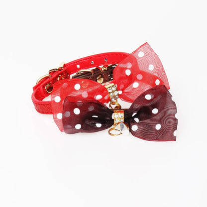Bright Colors Dog Collar