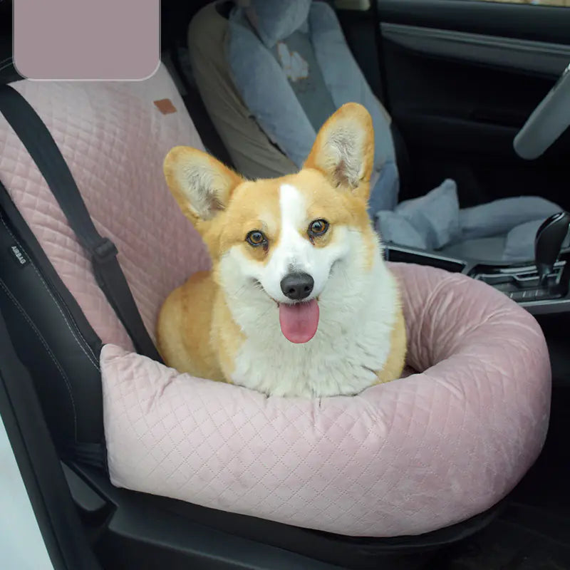 Car Travel Pet Kennel & Co-Pilot Seat