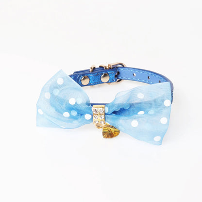 Bright Colors Dog Collar