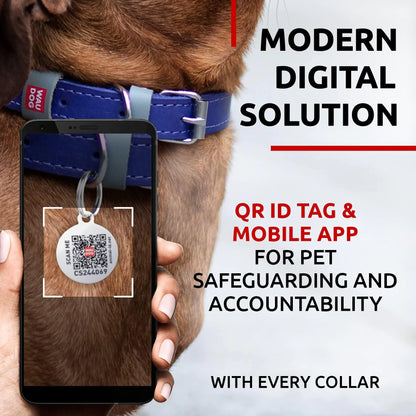 Purple Long Lasting Leather Dog Collar for XSmall Dogs 811 inch Neck x 1/2 inch