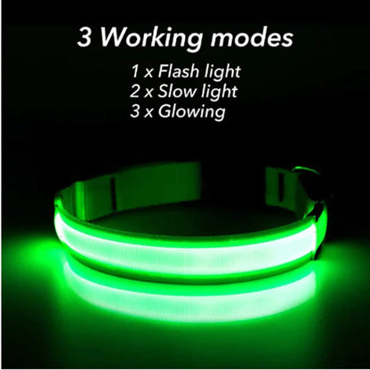 LED Dog Collar – Adjustable, Waterproof, Light-Up Pet Collar with Flashing Modes for Night Safety & Visibility