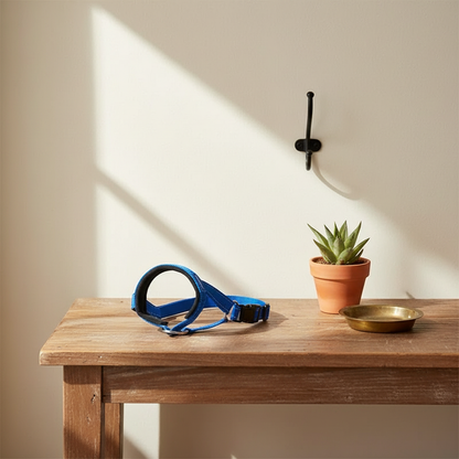 Adjustable Dog Training Collar - lifestyle AI photoshoot