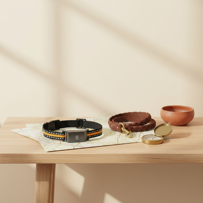 4G GPS Pet Tracker Collar - lifestyle AI photoshoot