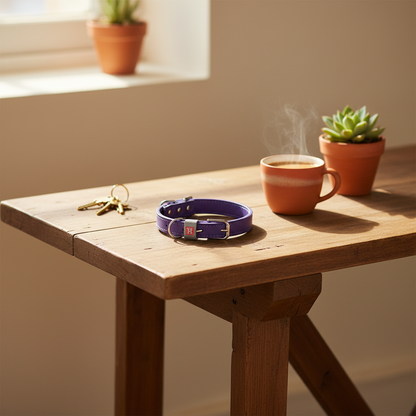 Genuine Leather Dog Collar for XSmall Dogs - lifestyle AI photoshoot