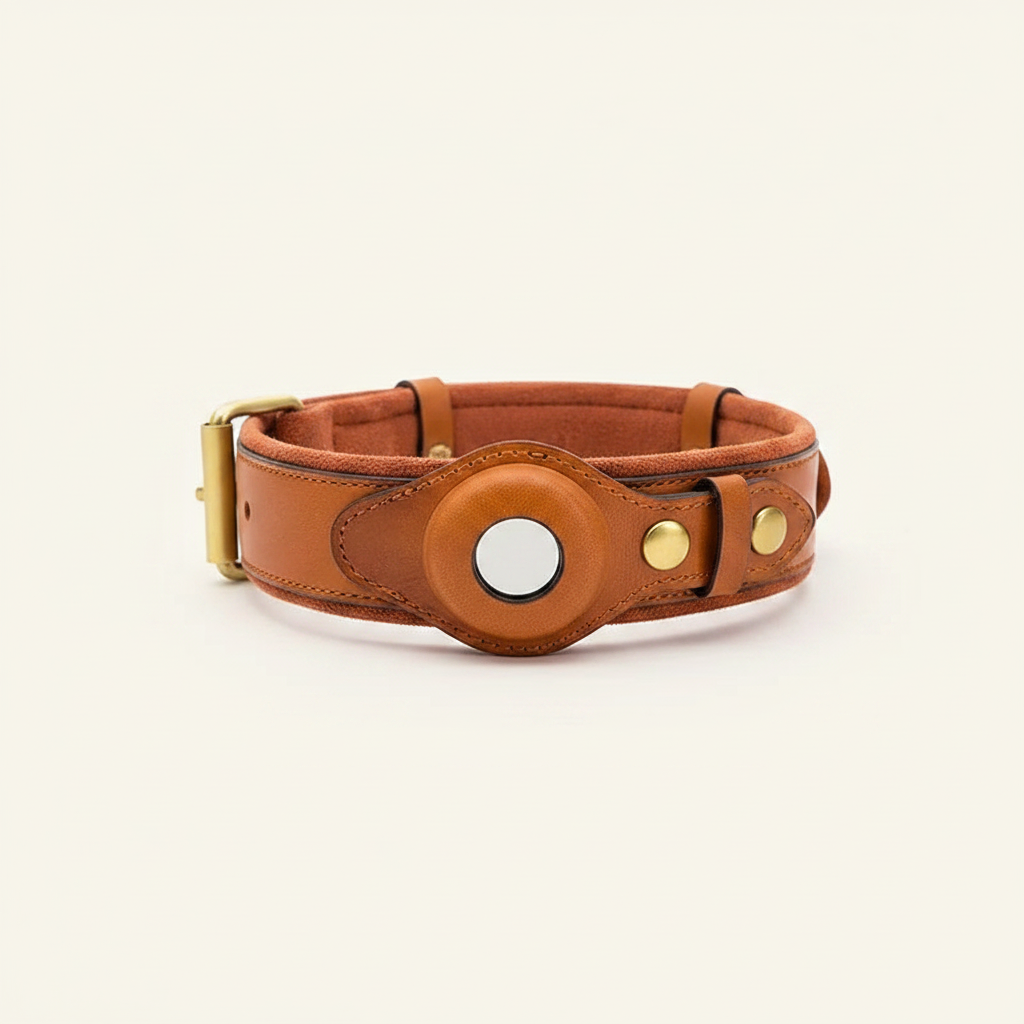 Genuine Leather Anti-Lost Dog Collar - studio AI photoshoot