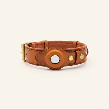Genuine Leather Anti-Lost Dog Collar - studio AI photoshoot
