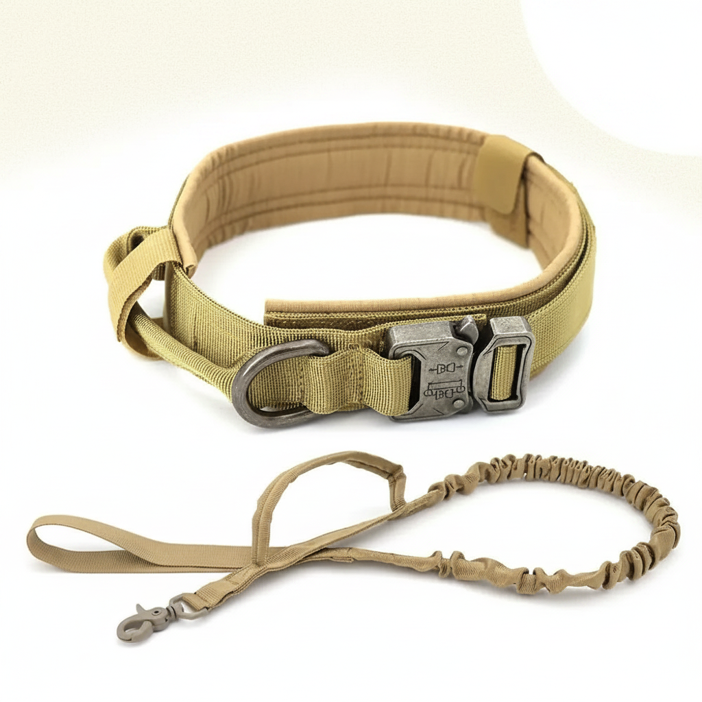 Classic Adjustable Dog Collar - studio AI photoshoot