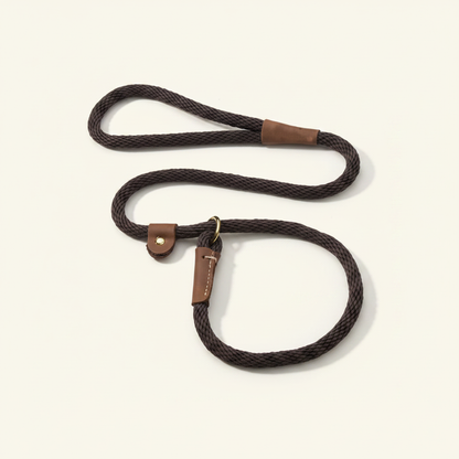 Adjustable Dog Lead Leash - studio AI photoshoot