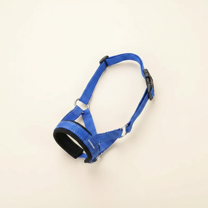 Adjustable Dog Training Collar - studio AI photoshoot