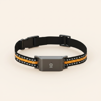 4G GPS Pet Tracker Collar - studio AI photoshoot