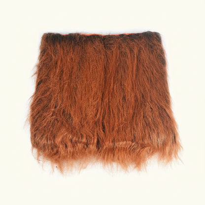 Lion Mane Dog Wig Costume - studio AI photoshoot
