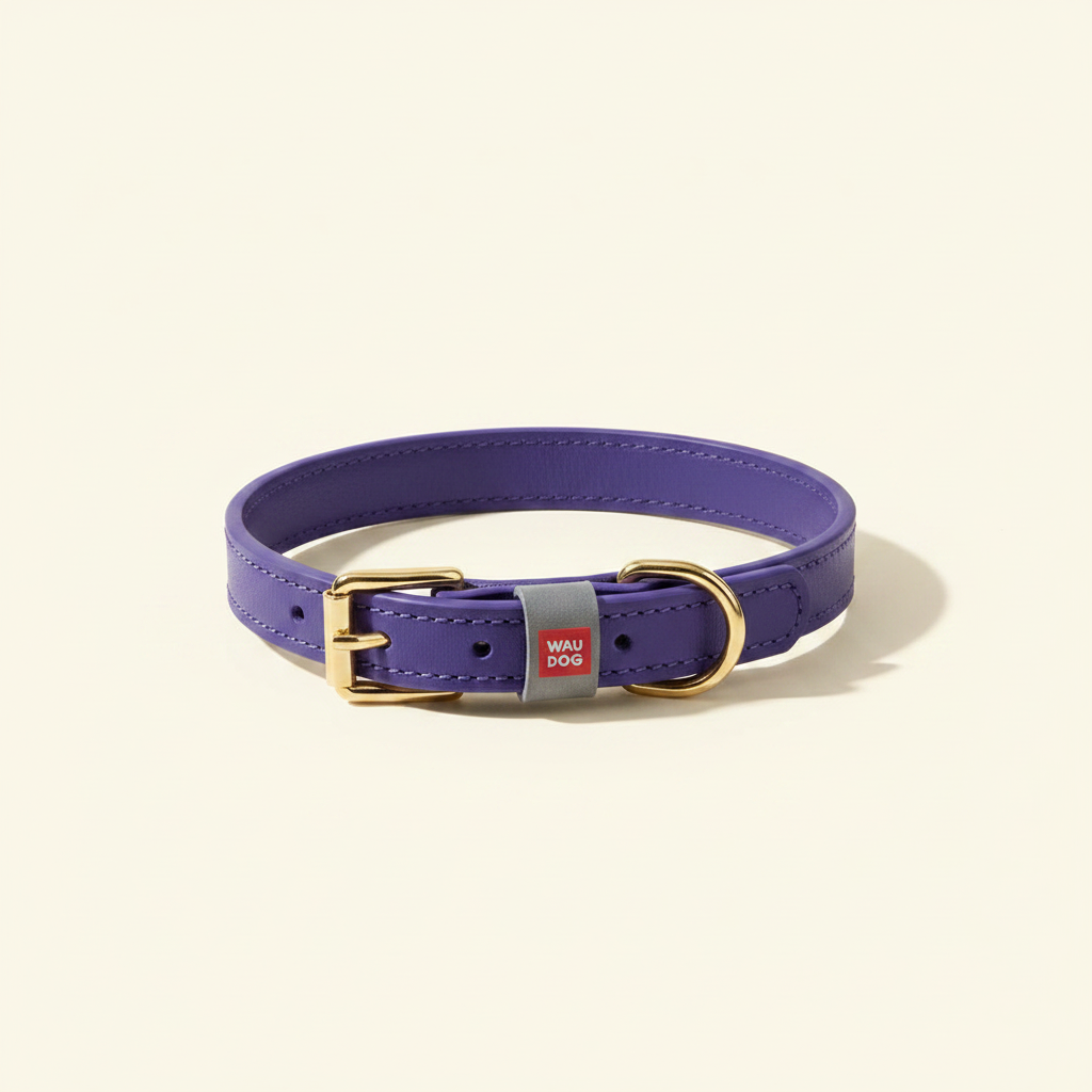 Genuine Leather Dog Collar for XSmall Dogs - studio AI photoshoot