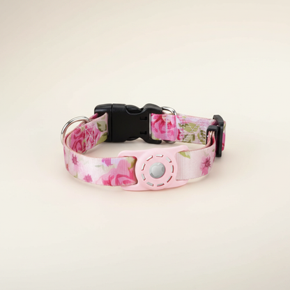 AirTag Dog Collar with Digital Print - studio AI photoshoot